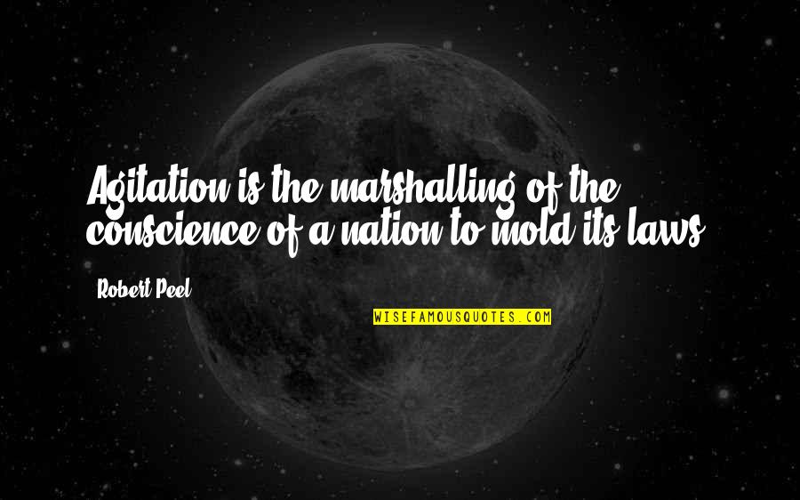 Best Friend Ditched Me Quotes By Robert Peel: Agitation is the marshalling of the conscience of