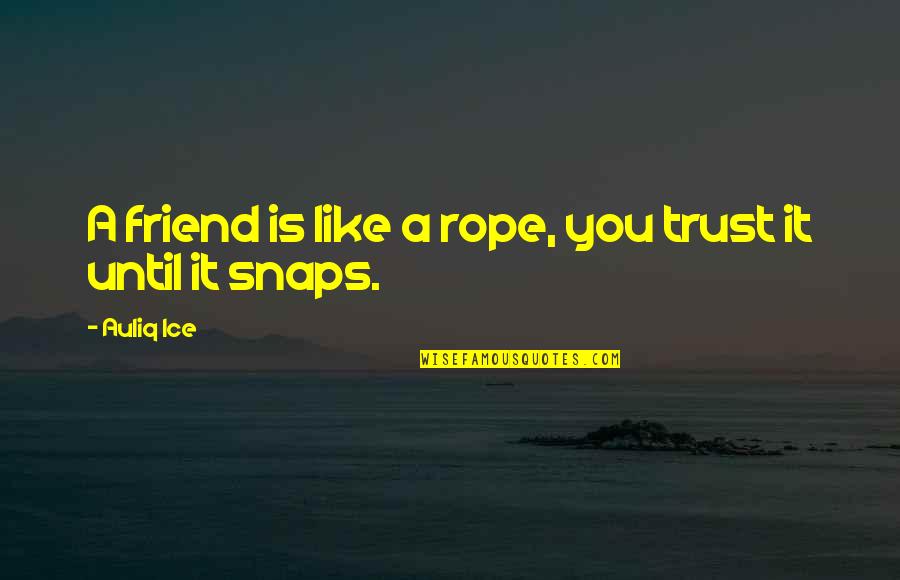 Best Friend Divorce Quotes By Auliq Ice: A friend is like a rope, you trust