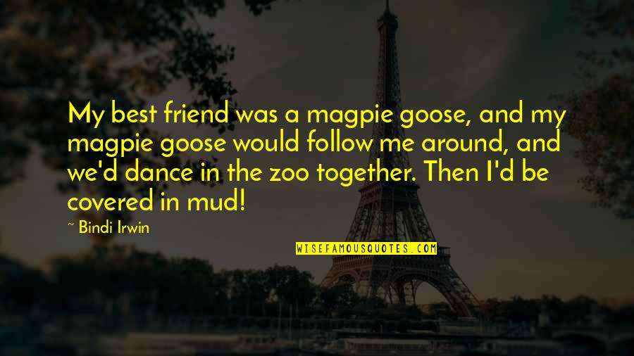 Best Friend In Quotes By Bindi Irwin: My best friend was a magpie goose, and Best Friend In Quotes By Bindi Irwin: My best friend was a magpie goose, and