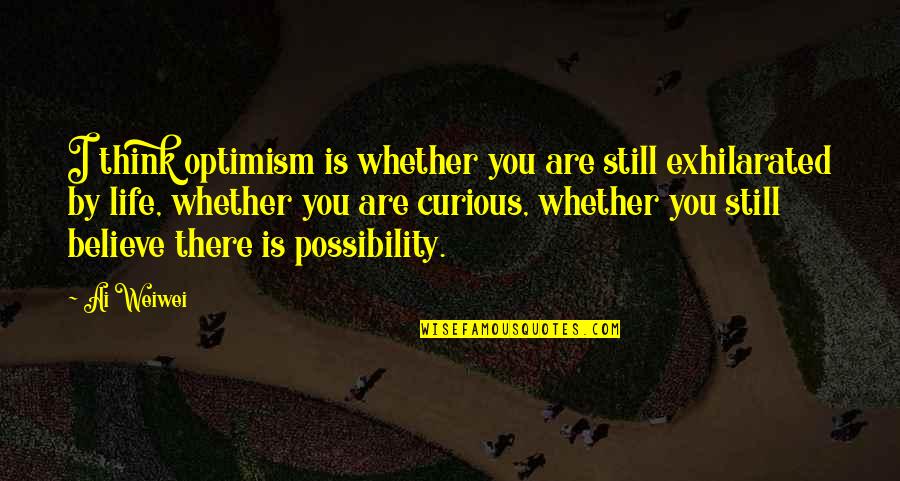 Best Friend Made My Day Quotes By Ai Weiwei: I think optimism is whether you are still