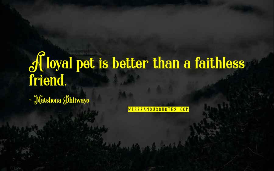 Best Friend Pet Quotes By Matshona Dhliwayo: A loyal pet is better than a faithless