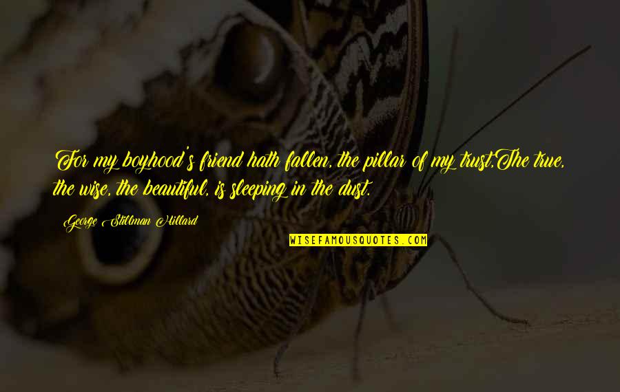 Best Friend Sleeping Quotes By George Stillman Hillard: For my boyhood's friend hath fallen, the pillar Best Friend Sleeping Quotes By George Stillman Hillard: For my boyhood's friend hath fallen, the pillar