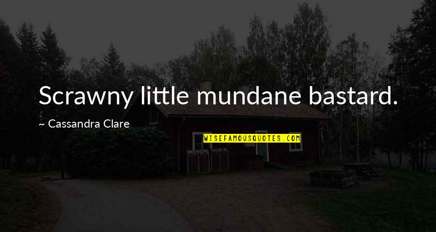 Best Friend Withdrawal Quotes By Cassandra Clare: Scrawny little mundane bastard.