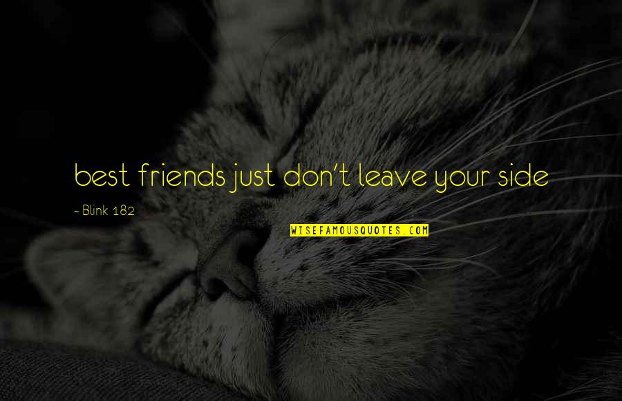 Best Friends And Music Quotes By Blink-182: best friends just don't leave your side