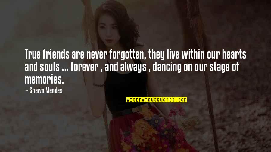 Best Friends Forever And Always Quotes By Shawn Mendes: True friends are never forgotten, they live within