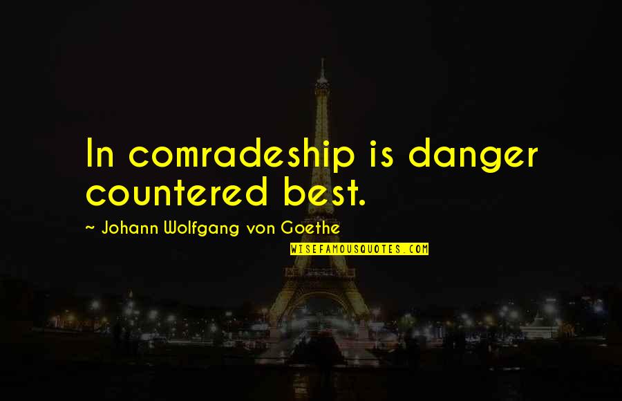 Best Friends Friendship Quotes By Johann Wolfgang Von Goethe: In comradeship is danger countered best.