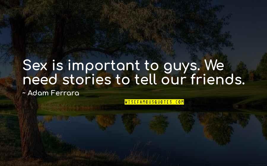 Best Friends Funny Quotes By Adam Ferrara: Sex is important to guys. We need stories