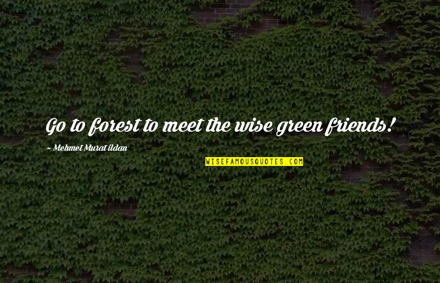 Best Friends Meet Quotes By Mehmet Murat Ildan: Go to forest to meet the wise green