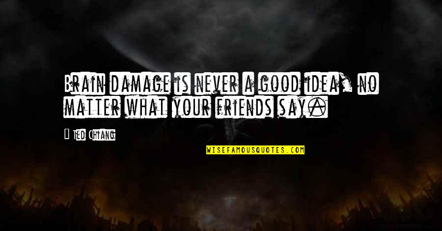 Best Friends No Matter What Quotes By Ted Chiang: Brain damage is never a good idea, no