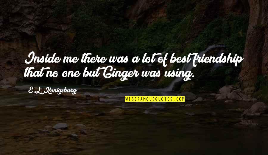 Best Friendship Quotes By E.L. Konigsburg: Inside me there was a lot of best