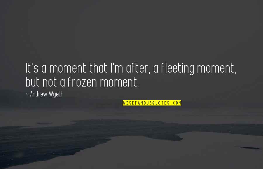 Best Frozen Quotes By Andrew Wyeth: It's a moment that I'm after, a fleeting