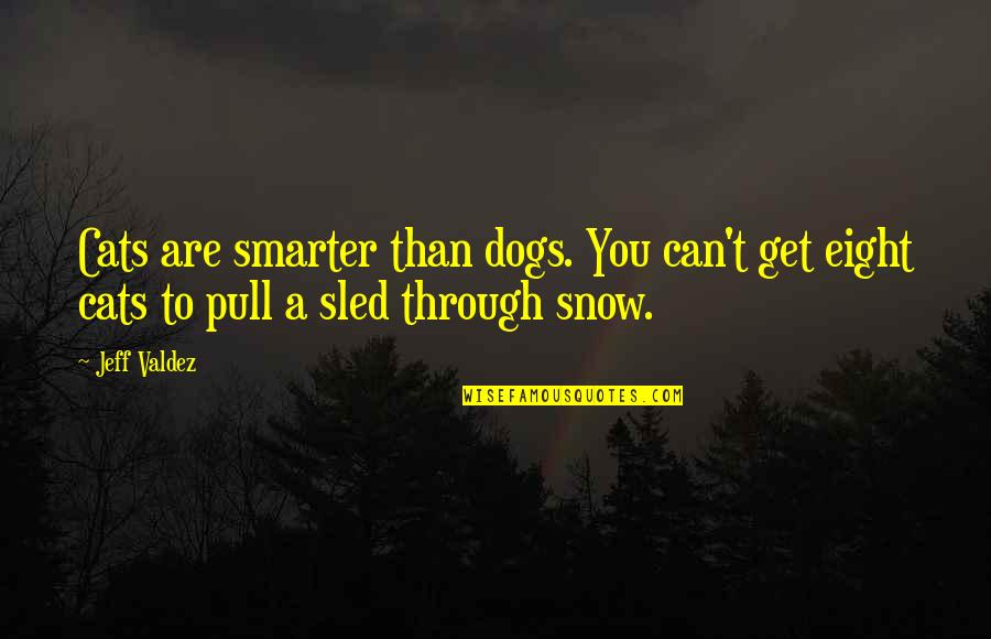 Best Funny Snow Quotes By Jeff Valdez: Cats are smarter than dogs. You can't get