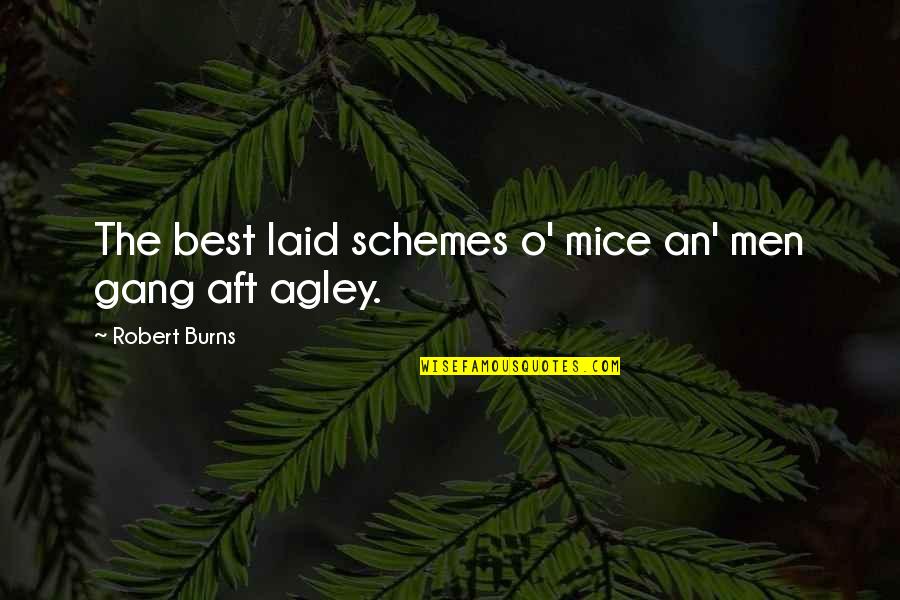 Best Gang Quotes By Robert Burns: The best laid schemes o' mice an' men