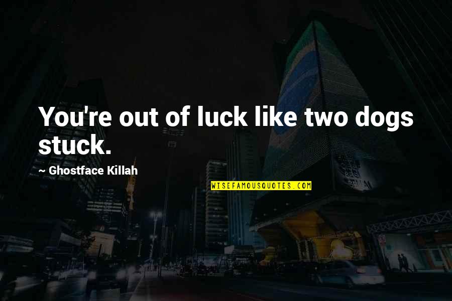 Best Ghostface Quotes By Ghostface Killah: You're out of luck like two dogs stuck.