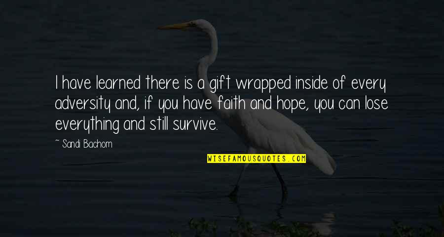 Best Gift Ever Quotes By Sandi Bachom: I have learned there is a gift wrapped
