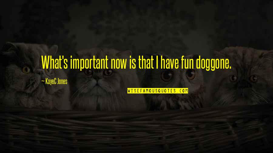 Best Girl Inspirational Quotes By KayeC Jones: What's important now is that I have fun