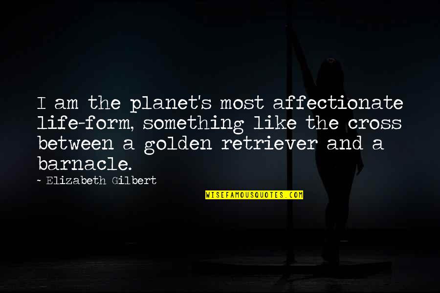 Best Golden Retriever Quotes By Elizabeth Gilbert: I am the planet's most affectionate life-form, something Best Golden Retriever Quotes By Elizabeth Gilbert: I am the planet's most affectionate life-form, something