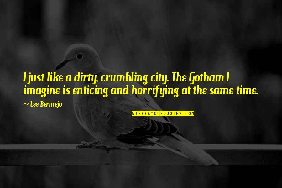 Best Gotham City Quotes By Lee Bermejo: I just like a dirty, crumbling city. The