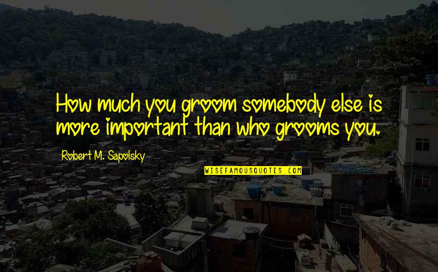 Best Grooms Quotes By Robert M. Sapolsky: How much you groom somebody else is more