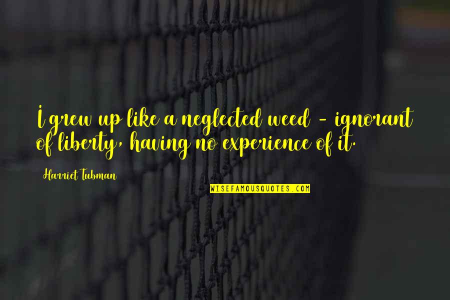 Best Harriet Tubman Quotes By Harriet Tubman: I grew up like a neglected weed -