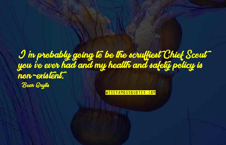 Best Health And Safety Quotes By Bear Grylls: I'm probably going to be the scruffiest Chief Best Health And Safety Quotes By Bear Grylls: I'm probably going to be the scruffiest Chief