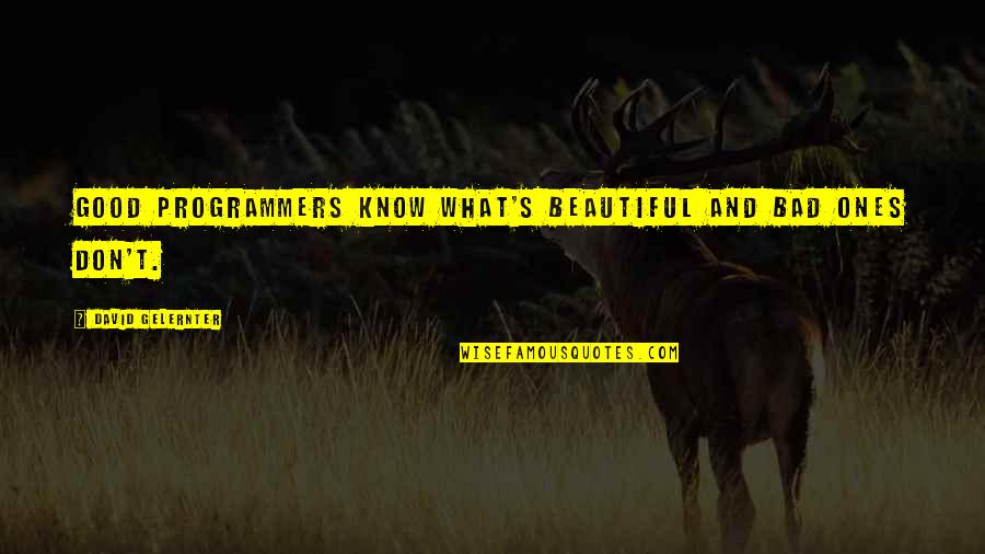 Best Hermione And Ron Quotes By David Gelernter: Good programmers know what's beautiful and bad ones