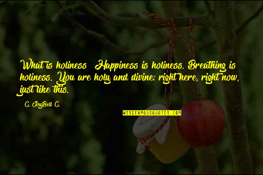 Best Holiness Quotes By C. JoyBell C.: What is holiness? Happiness is holiness. Breathing is