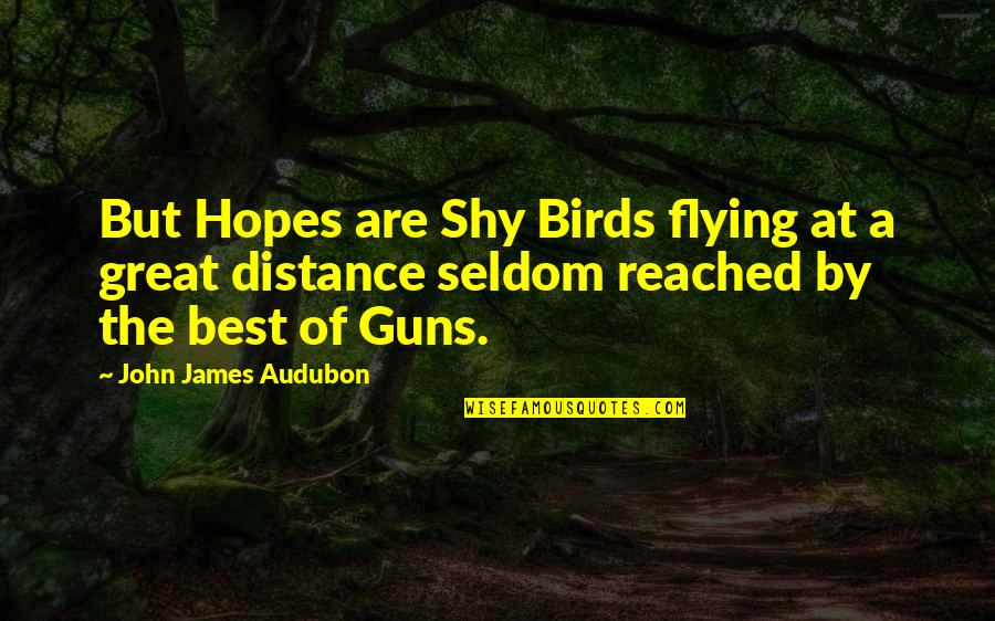 Best Hopes Quotes By John James Audubon: But Hopes are Shy Birds flying at a