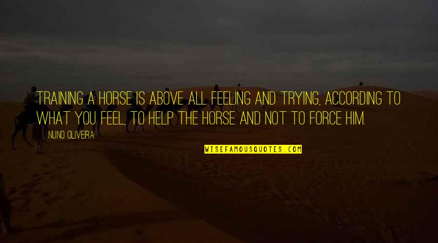 Best Horse Training Quotes By Nuno Oliveira: Training a horse is above all feeling and