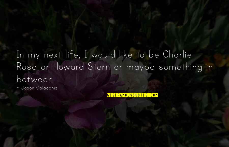 Best Howard Stern Quotes By Jason Calacanis: In my next life, I would like to Best Howard Stern Quotes By Jason Calacanis: In my next life, I would like to