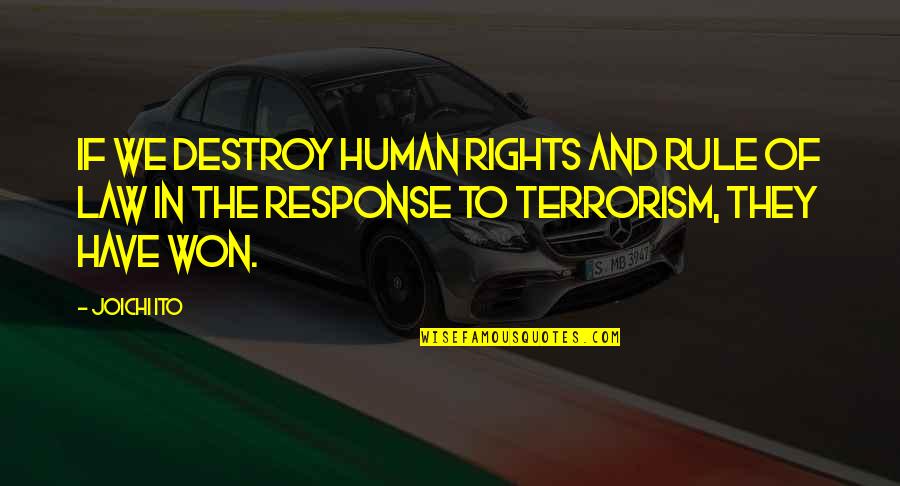 Best Human Rights Quotes By Joichi Ito: If we destroy human rights and rule of