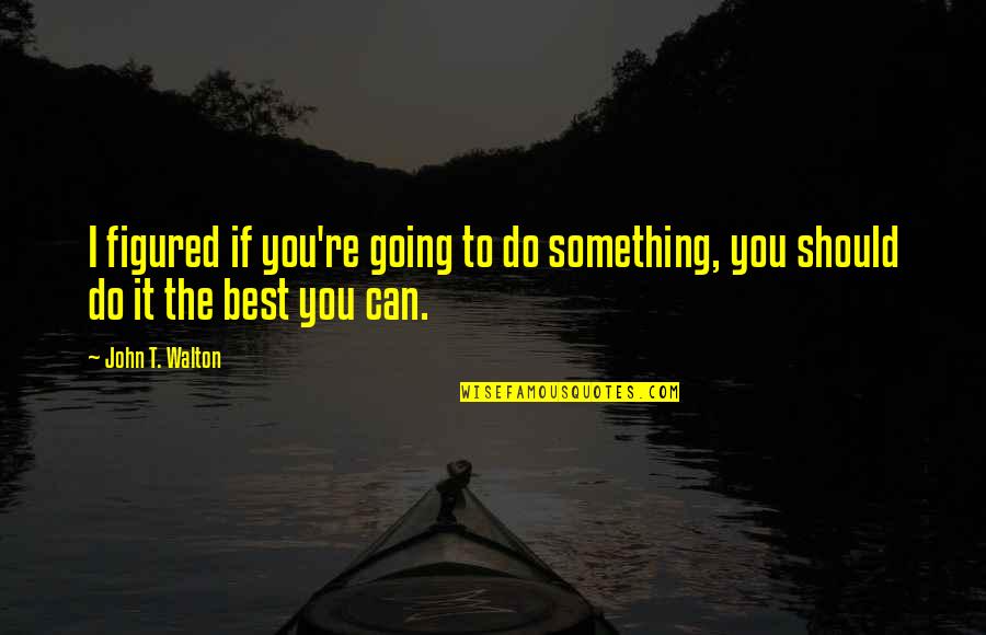 Best I Can Do Quotes By John T. Walton: I figured if you're going to do something,