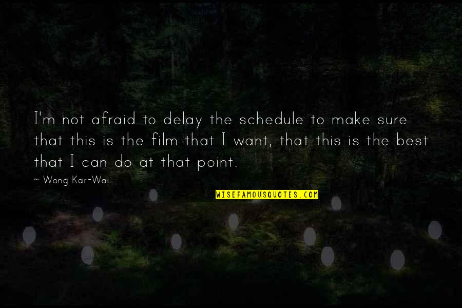 Best I Can Do Quotes By Wong Kar-Wai: I'm not afraid to delay the schedule to
