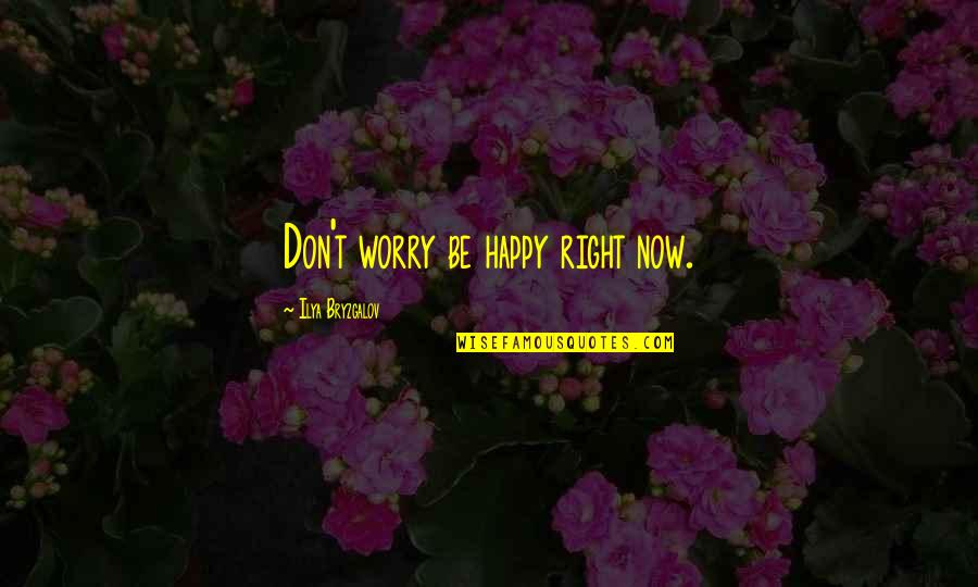 Best Ilya Bryzgalov Quotes By Ilya Bryzgalov: Don't worry be happy right now.