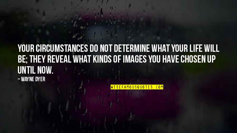 Best Images Of Life With Quotes By Wayne Dyer: Your circumstances do not determine what your life