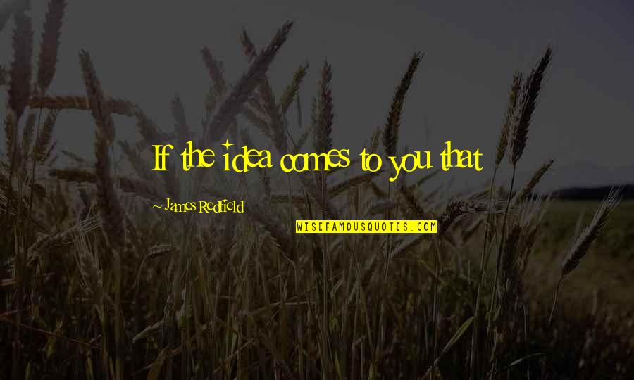 Best Imp Quotes By James Redfield: If the idea comes to you that