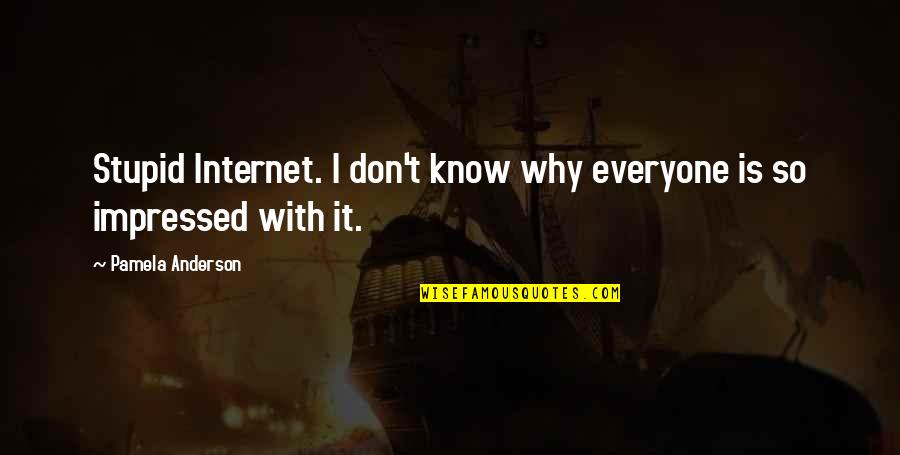 Best Impressed Quotes By Pamela Anderson: Stupid Internet. I don't know why everyone is