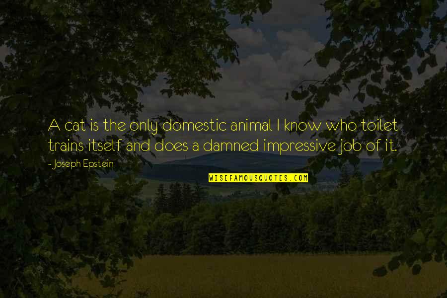 Best Impressive Quotes By Joseph Epstein: A cat is the only domestic animal I