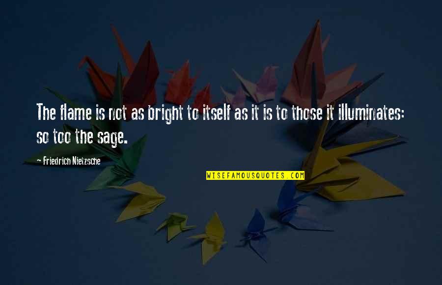 Best In Flames Quotes By Friedrich Nietzsche: The flame is not as bright to itself Best In Flames Quotes By Friedrich Nietzsche: The flame is not as bright to itself