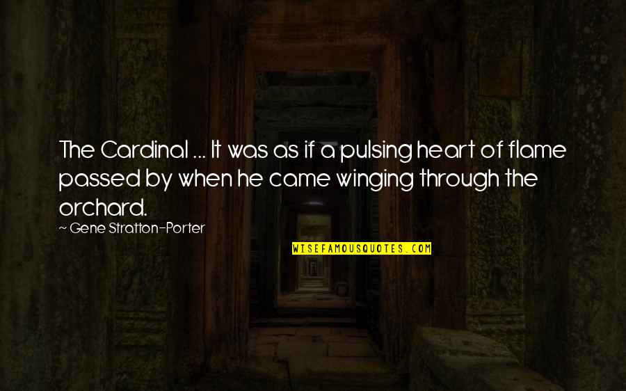 Best In Flames Quotes By Gene Stratton-Porter: The Cardinal ... It was as if a Best In Flames Quotes By Gene Stratton-Porter: The Cardinal ... It was as if a