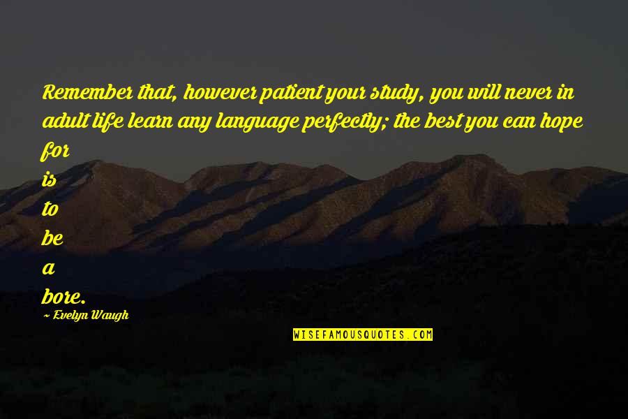 Best In You Quotes By Evelyn Waugh: Remember that, however patient your study, you will