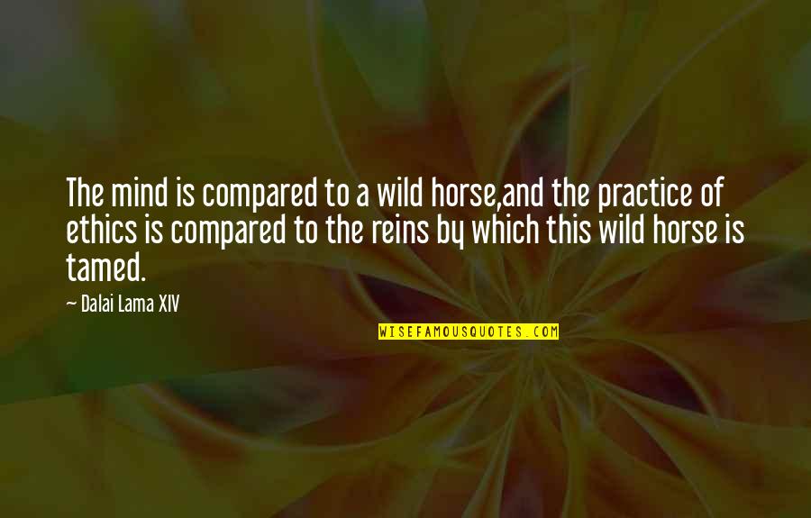 Best Inspirational Horse Quotes By Dalai Lama XIV: The mind is compared to a wild horse,and
