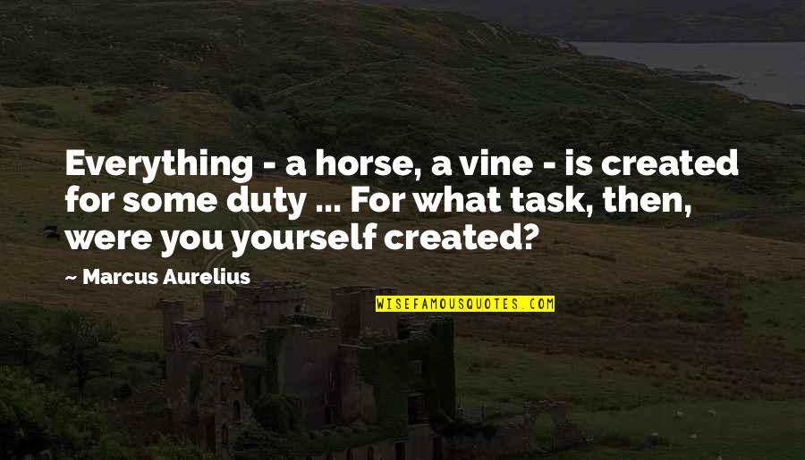 Best Inspirational Horse Quotes By Marcus Aurelius: Everything - a horse, a vine - is