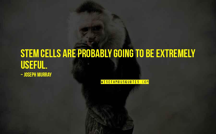 Best Inspiring Anime Quotes By Joseph Murray: Stem cells are probably going to be extremely Best Inspiring Anime Quotes By Joseph Murray: Stem cells are probably going to be extremely