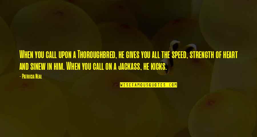 Best Jackass Quotes By Patricia Neal: When you call upon a Thoroughbred, he gives