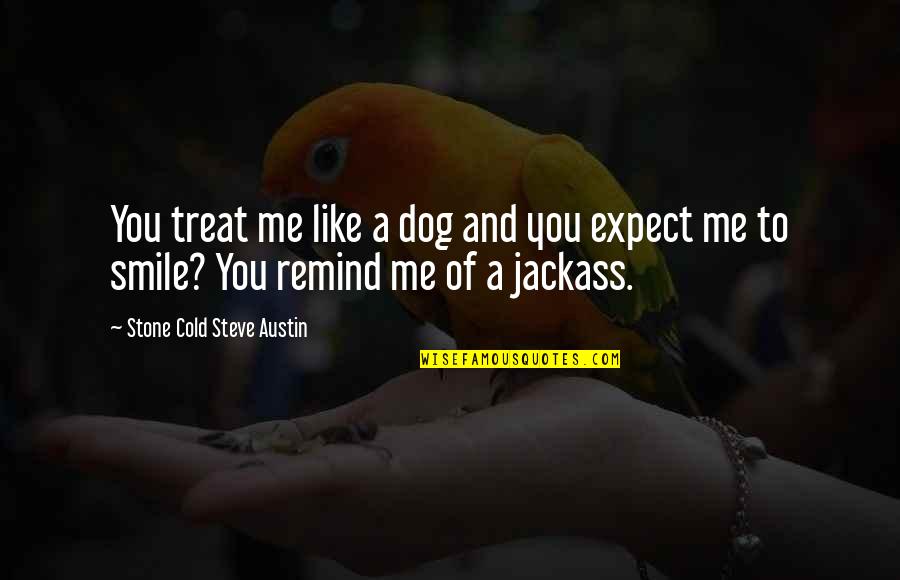 Best Jackass Quotes By Stone Cold Steve Austin: You treat me like a dog and you