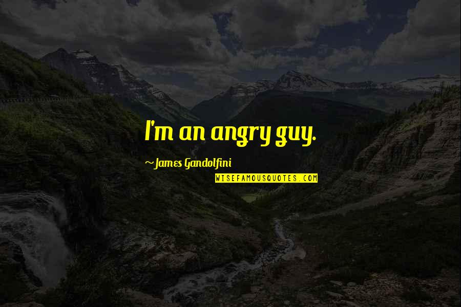 Best James Gandolfini Quotes By James Gandolfini: I'm an angry guy. Best James Gandolfini Quotes By James Gandolfini: I'm an angry guy.