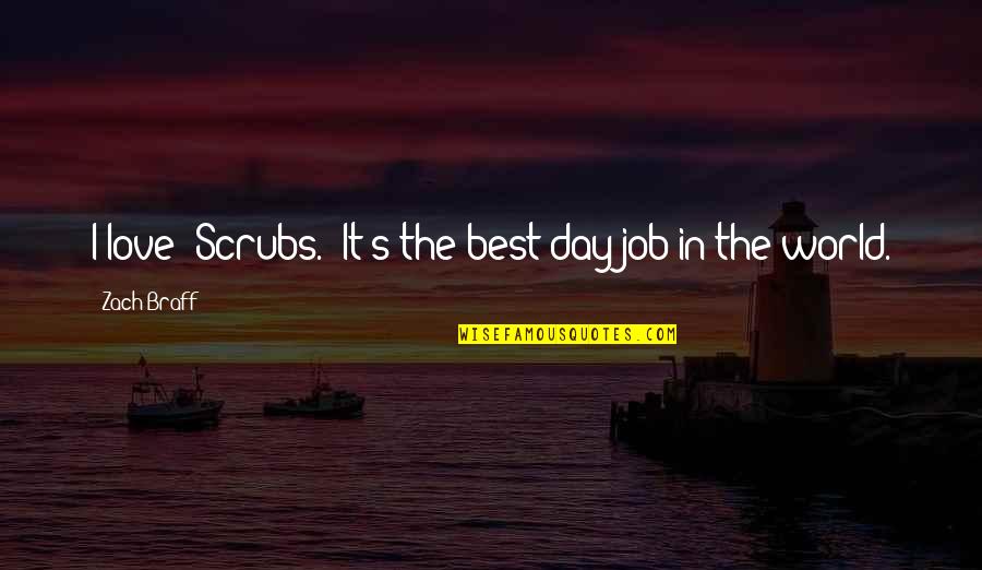 Best Job Quotes By Zach Braff: I love 'Scrubs.' It's the best day job
