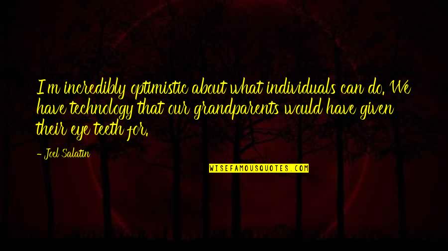 Best Joel Salatin Quotes By Joel Salatin: I'm incredibly optimistic about what individuals can do. Best Joel Salatin Quotes By Joel Salatin: I'm incredibly optimistic about what individuals can do.