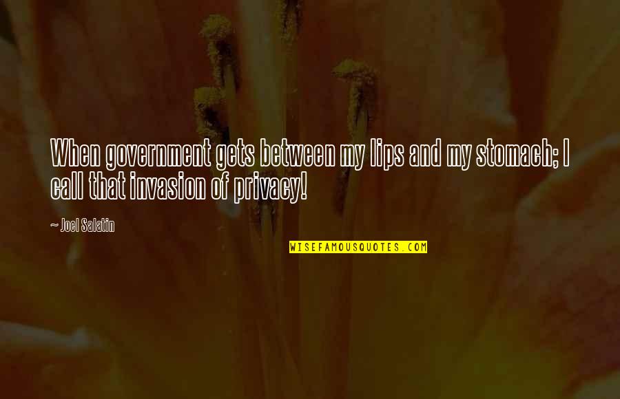 Best Joel Salatin Quotes By Joel Salatin: When government gets between my lips and my Best Joel Salatin Quotes By Joel Salatin: When government gets between my lips and my